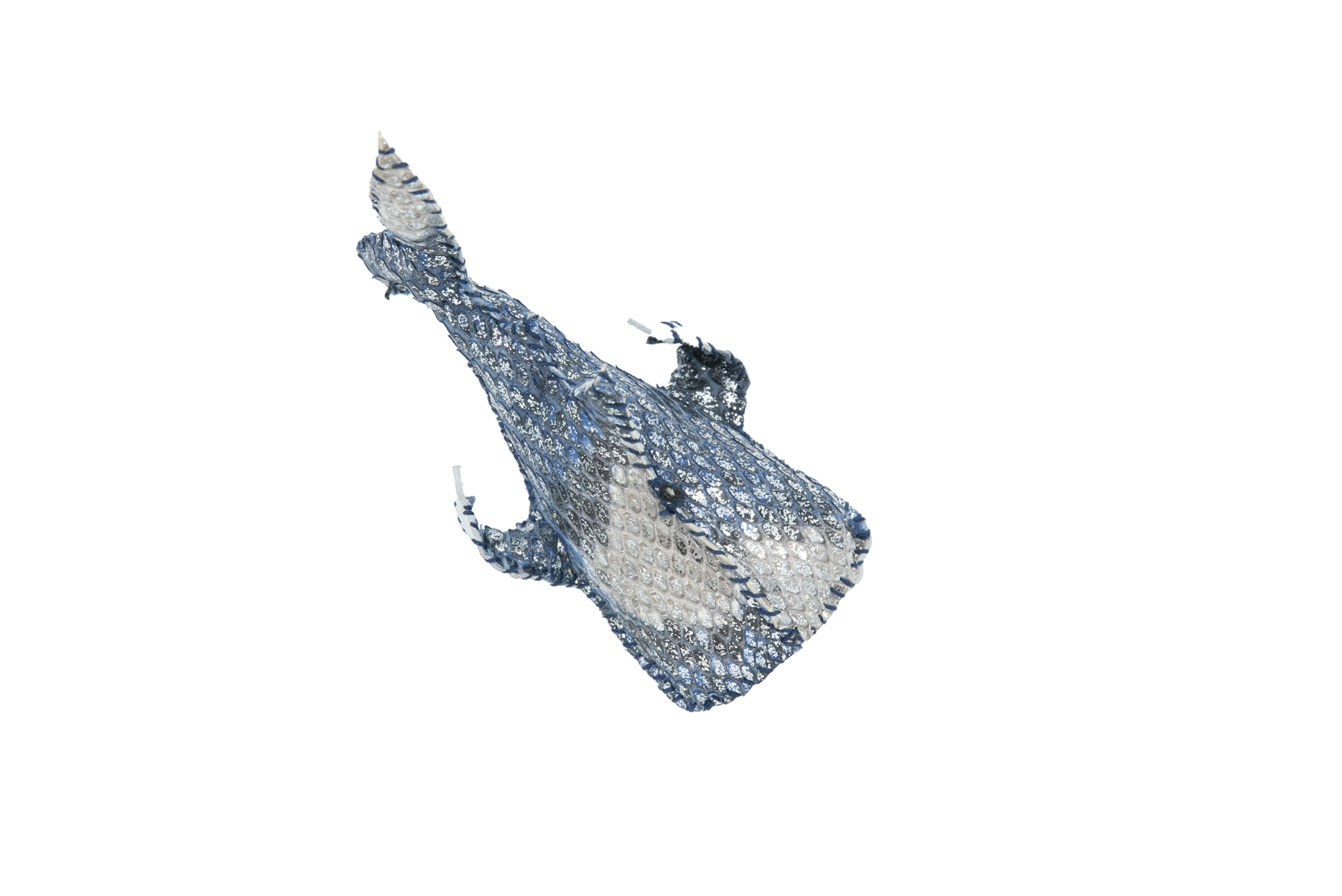 The Menagerie  | Whale | Blue + Silver