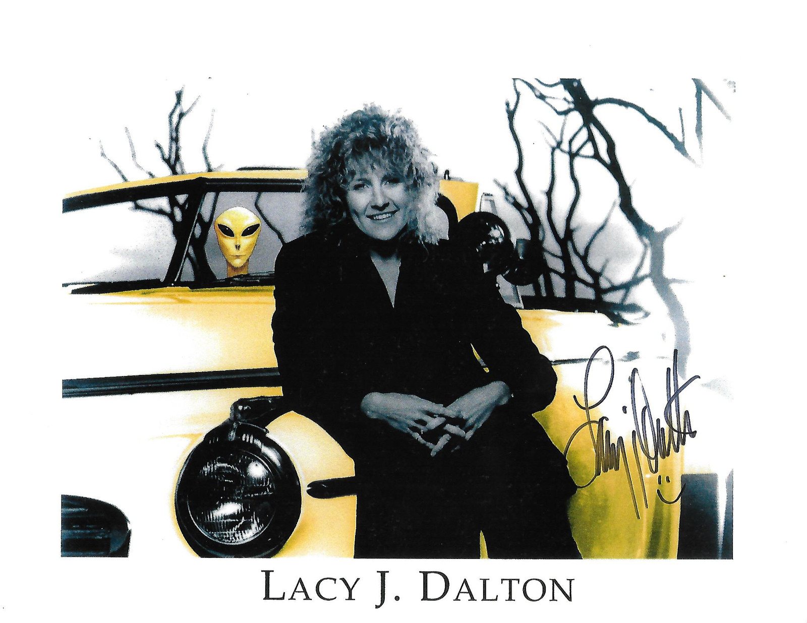 Fullscreen Page lacyjdalton