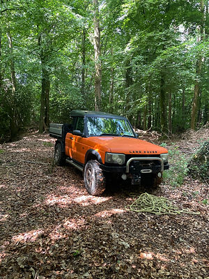 woodland management.jpeg