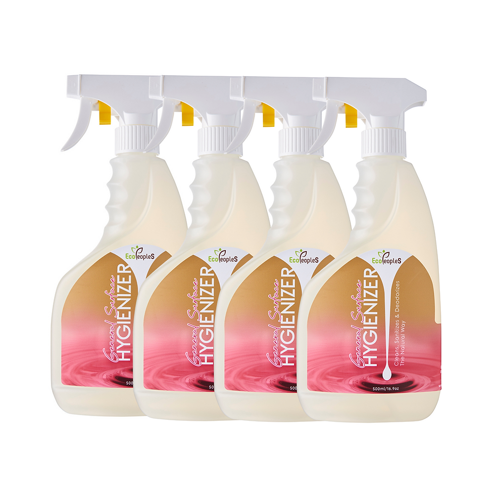 General Surface HYGIENIZER, 16.9-ounce spray bottle (Pack of 4)