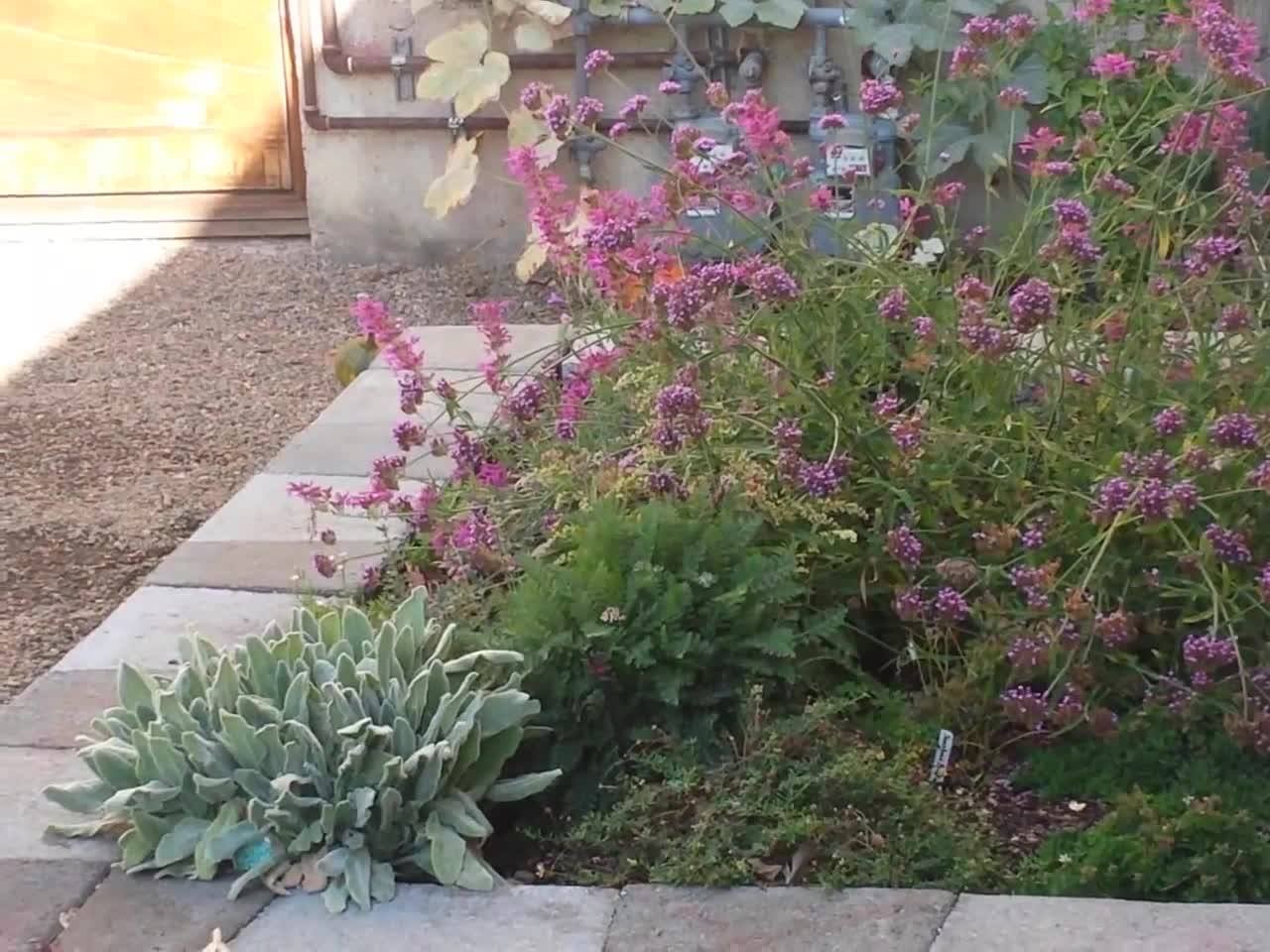 All Videos
