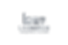 Leo1.png