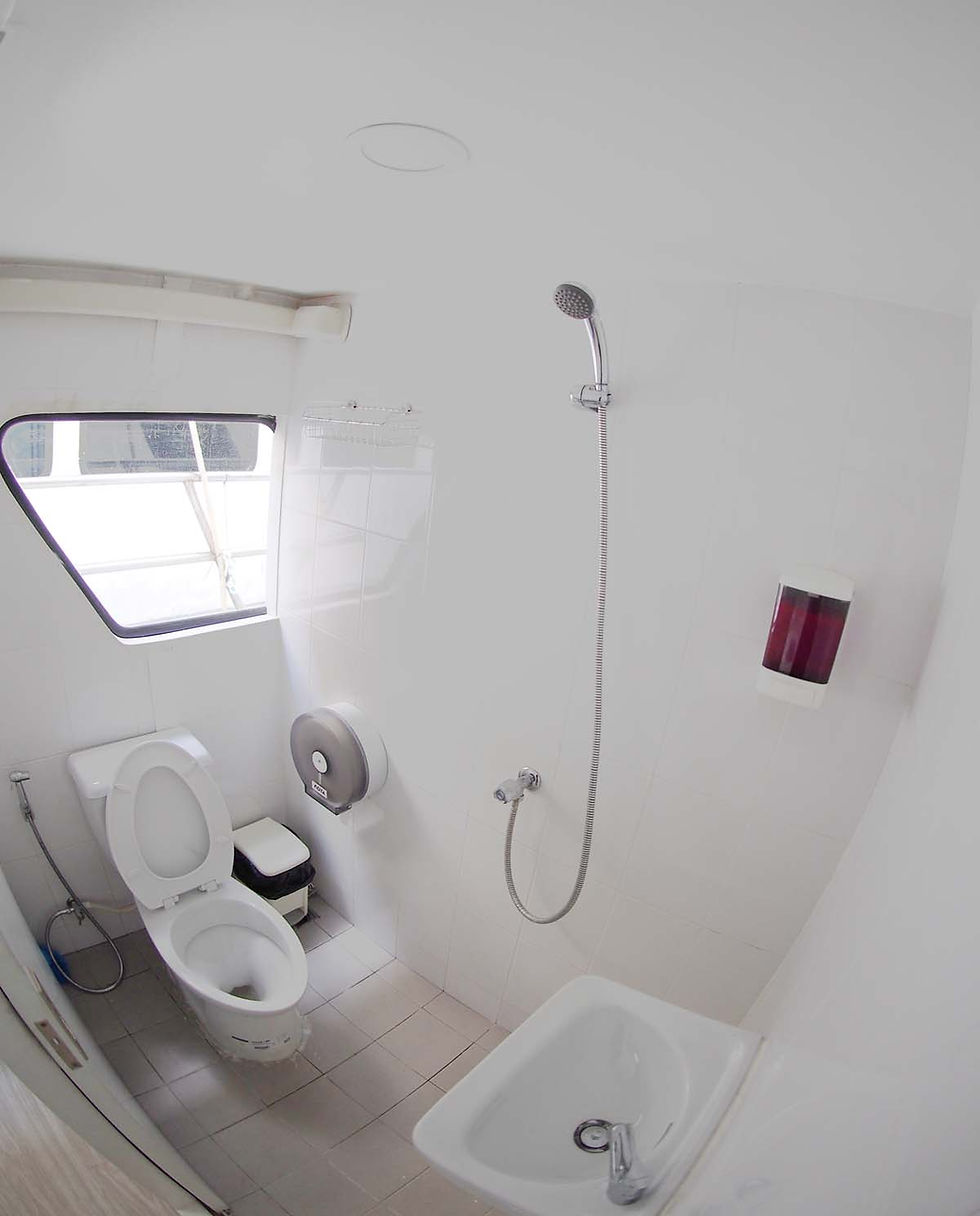 Guest-bathroom