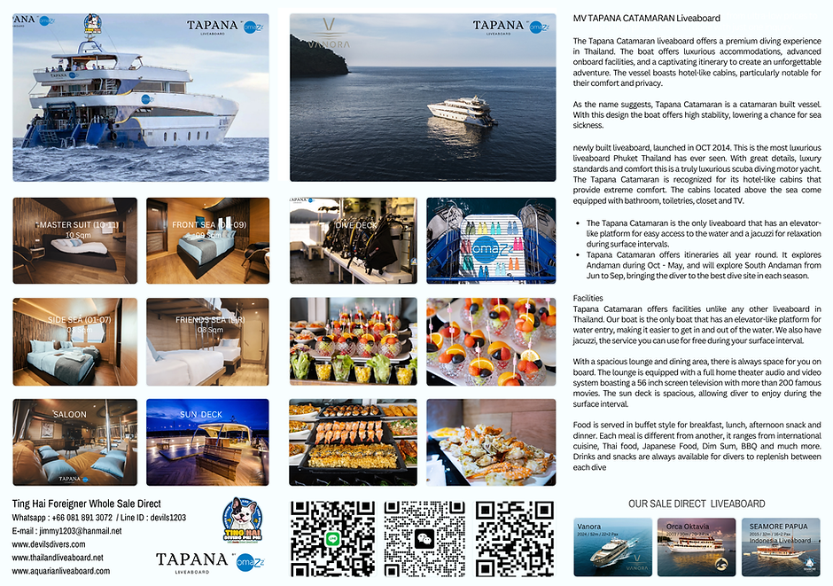 TAPANA 브러셔 (1)2