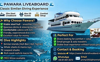 PAWARA_LIVEABOARD_04.jpeg