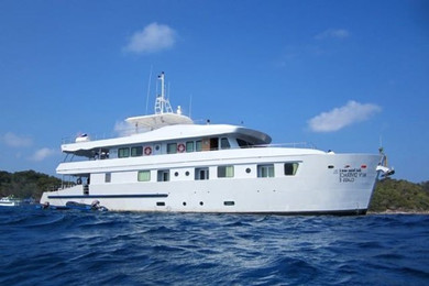 BOAT-19
