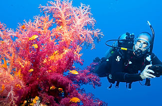 SSI-Diving05-1.Create the best experience and memories in South Andaman with the best AQUA THAILAND liveaboard in Thailand T