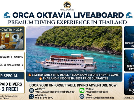 Similan Liveaboard Comparison 2026Pawara vs Sawadee Fasai vs Orca Oktavia vs Tapana Catamaran