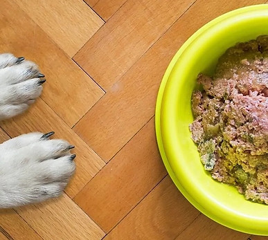 Umido Cane_edited.jpg