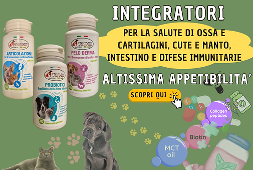 probiotici, dolori articolari, dermatite