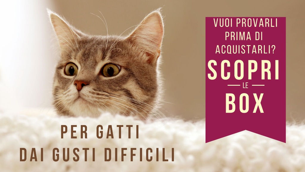 Petbestchoice Grainfree