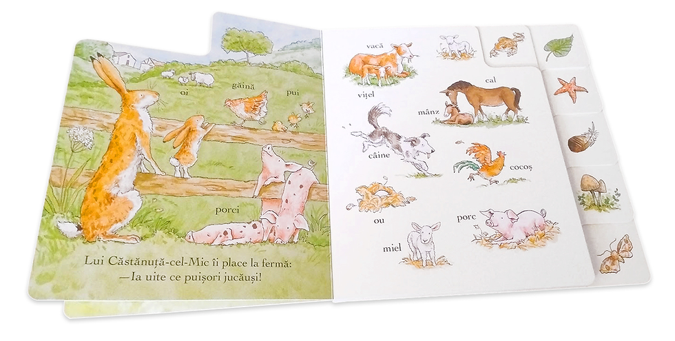 Miniatură: Ghici cat de mult te iubesc . Sa descoperim natura.