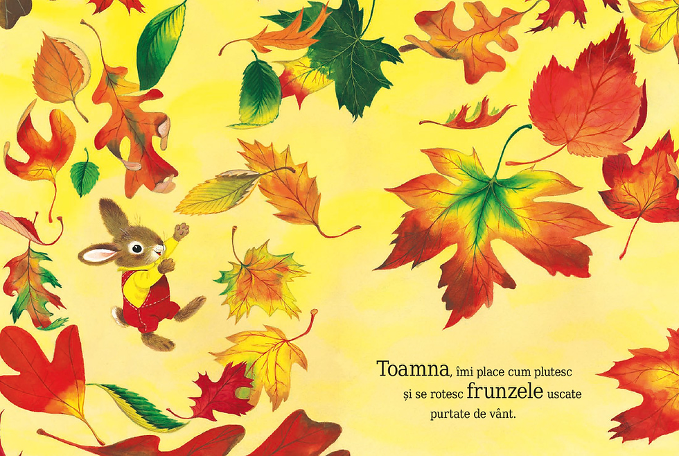 Miniatură: Sunt un iepuras