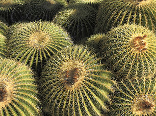 Women & Money Paralysis