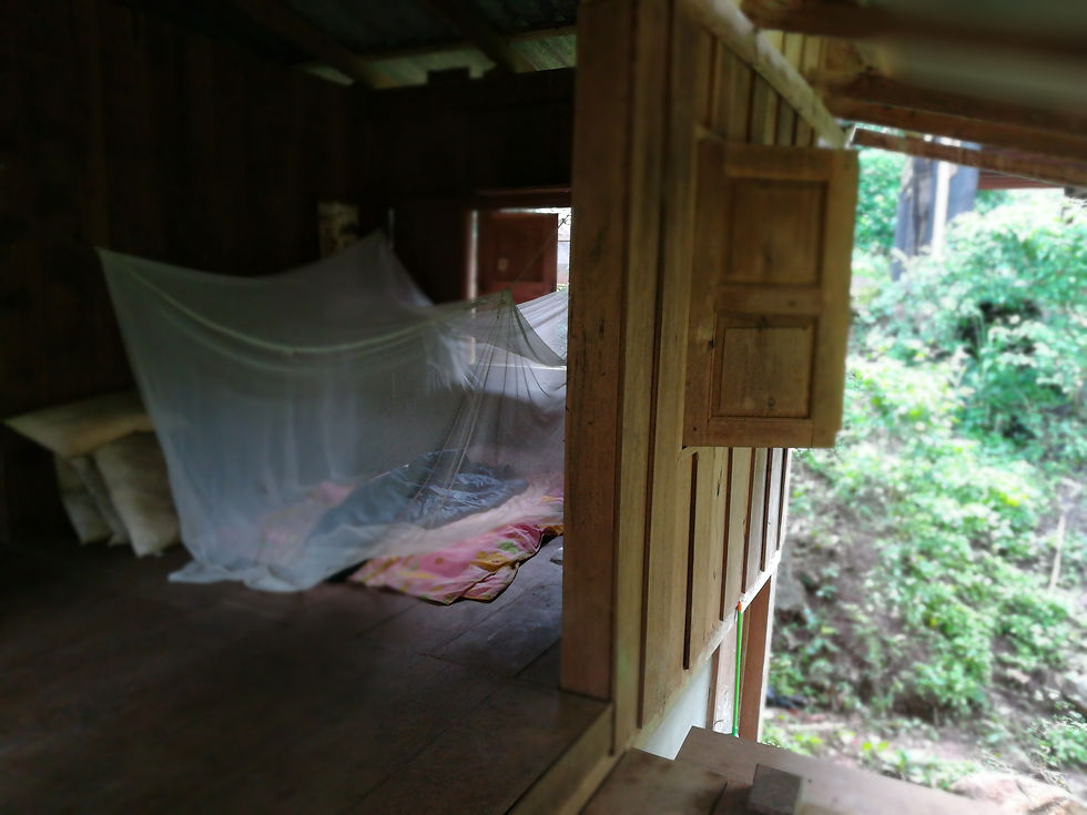 Guest accomodation