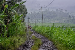 _DSC8375-1-01