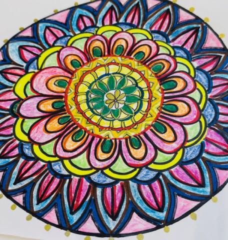 Workshop & Classes