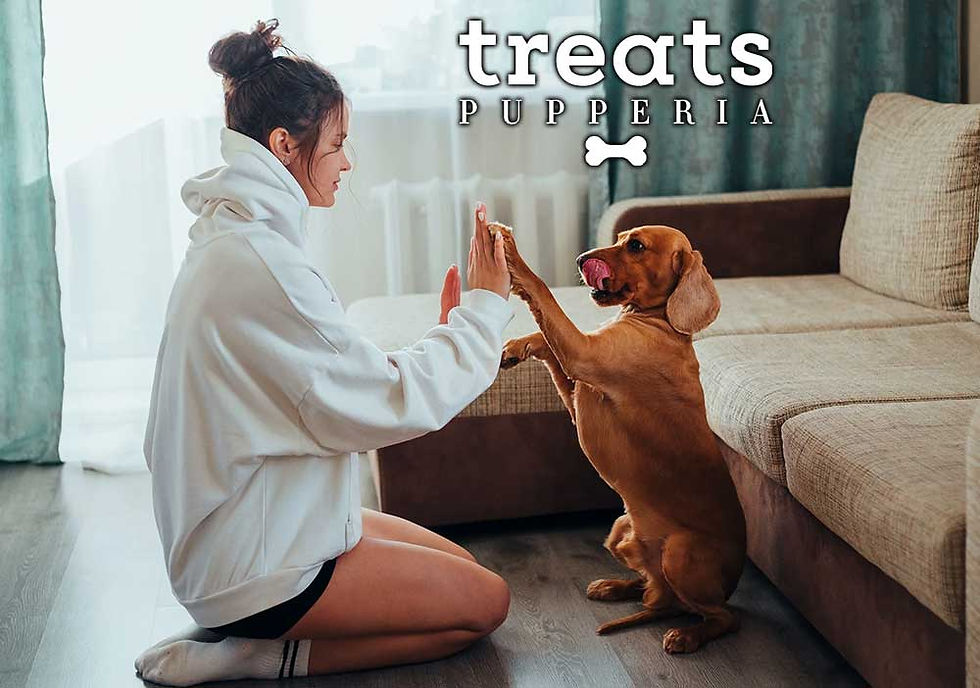 treats-pupperia-gallery03-PattyCake-01.jpg