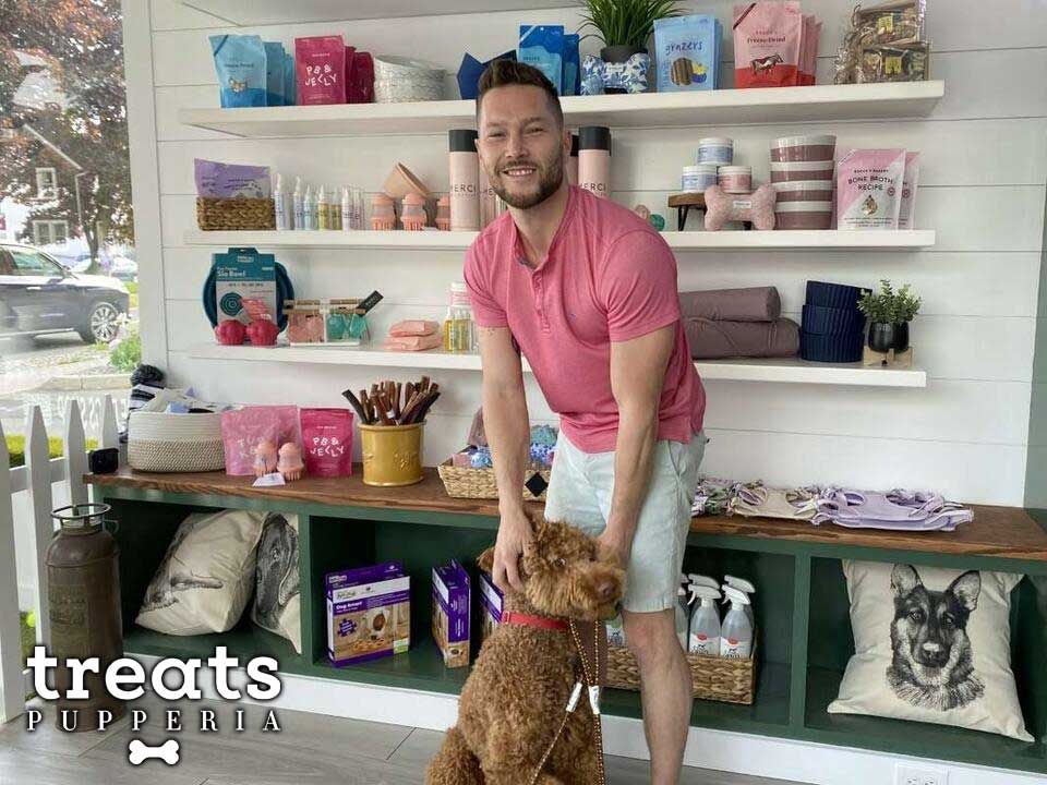 Dog boutique 
