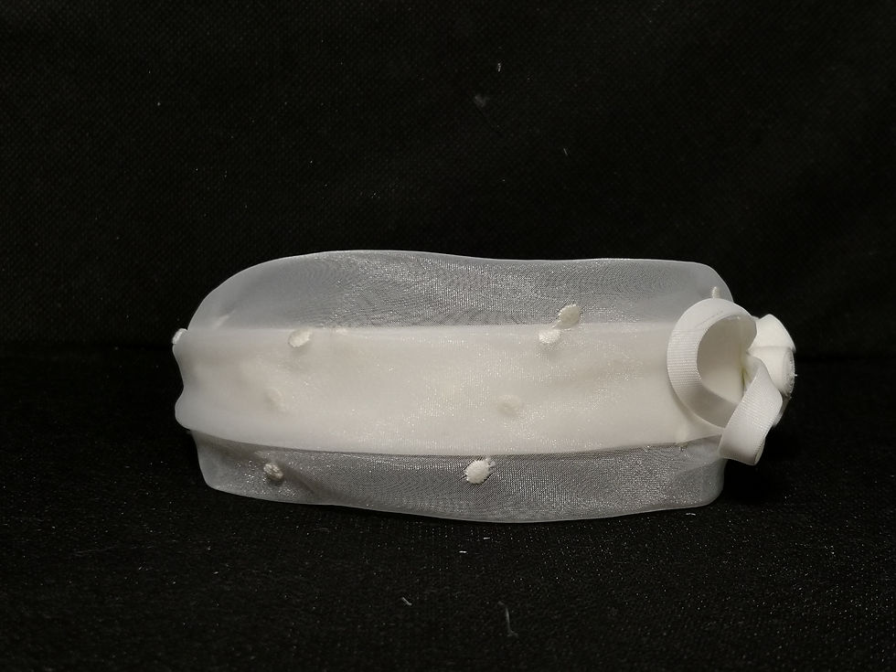 Miniatura: Diadema plumeti