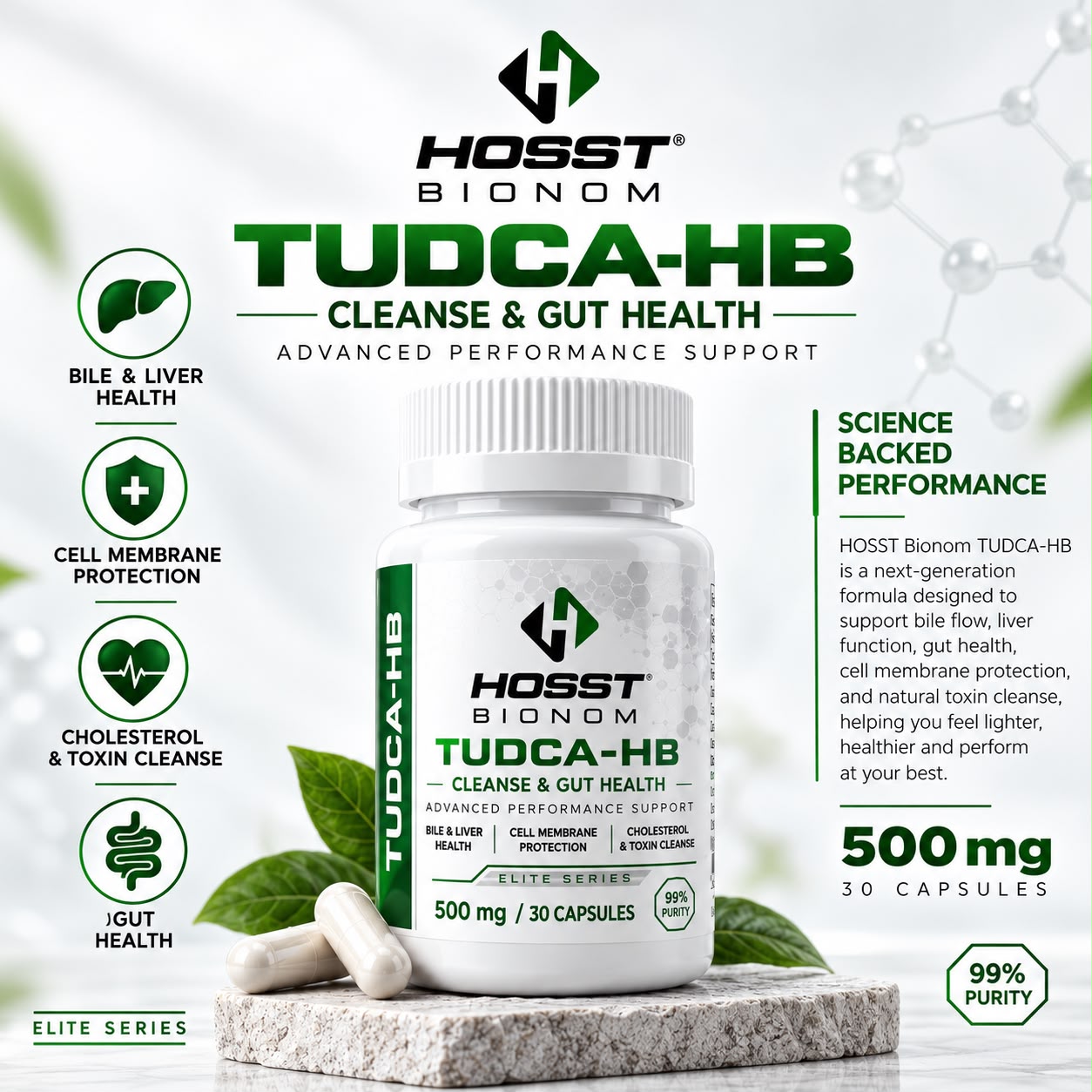 TUDCA-HB Cleanse & Gut Health - 500 mg / 30 Capsules by HOSST BIONOM — image 2