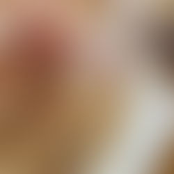 コラーゲンたっぷり！とろっとろ豚軟骨煮　2種