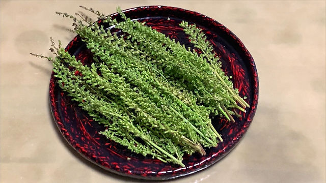 紫蘇の穂 実 の塩漬け 紫蘇の穂 実 の塩漬け