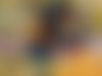 🌿 Salir también es aprender: por qué las excursiones, paseos y salidas familiares son esenciales para el aprendizaje libre