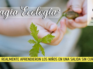 lo que realmente aprendieron los niños en una salida sin currículo
