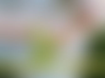 lo que realmente aprendieron los niños en una salida sin currículo
