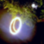 Photograph by Carol Hodson