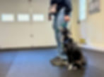 WoofWorks-1 (1).jpeg