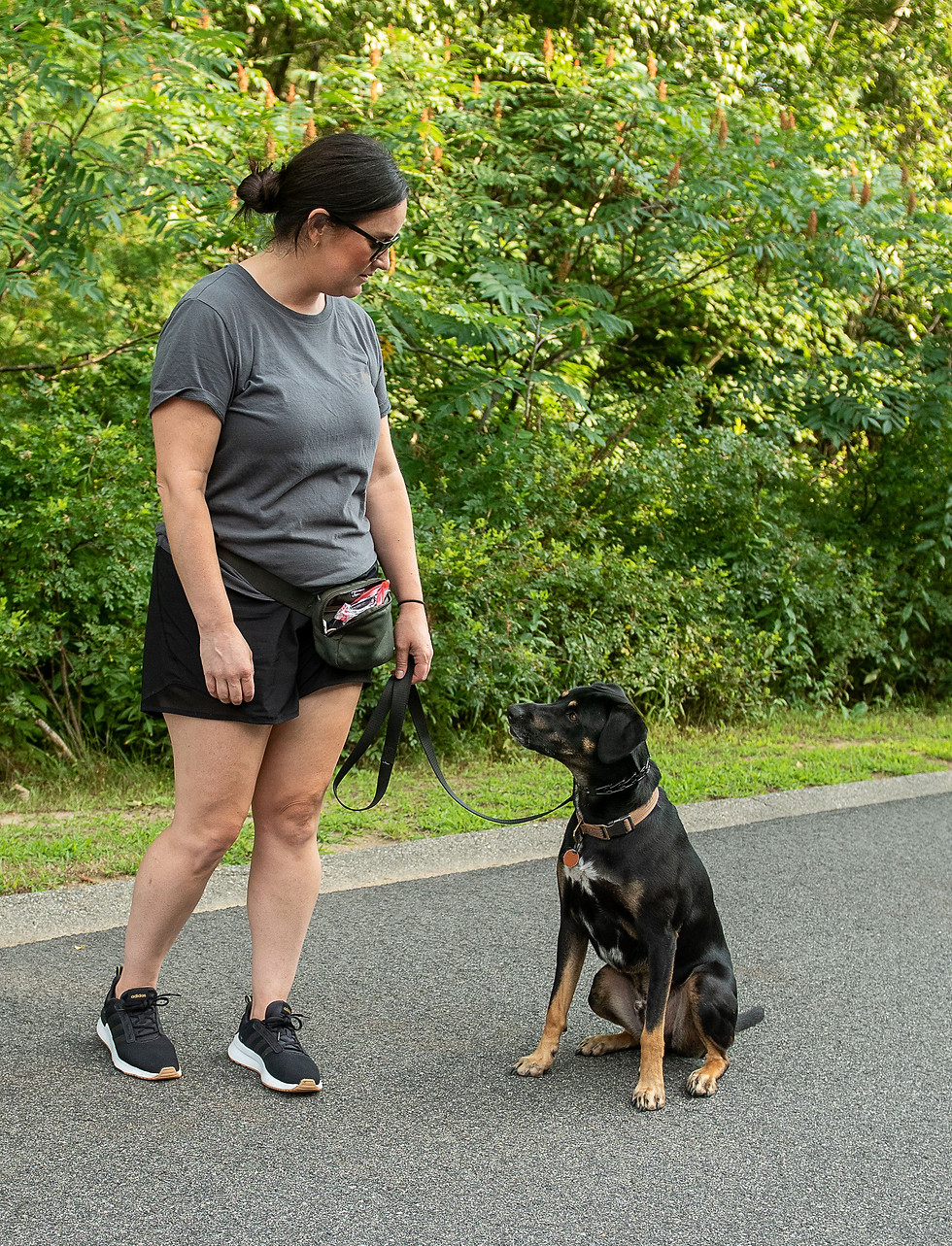 Bring yourself to training and be ready to work