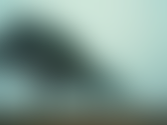 Weather Whirlwind A Week of Changing Conditions Rain Snow and Sunshine