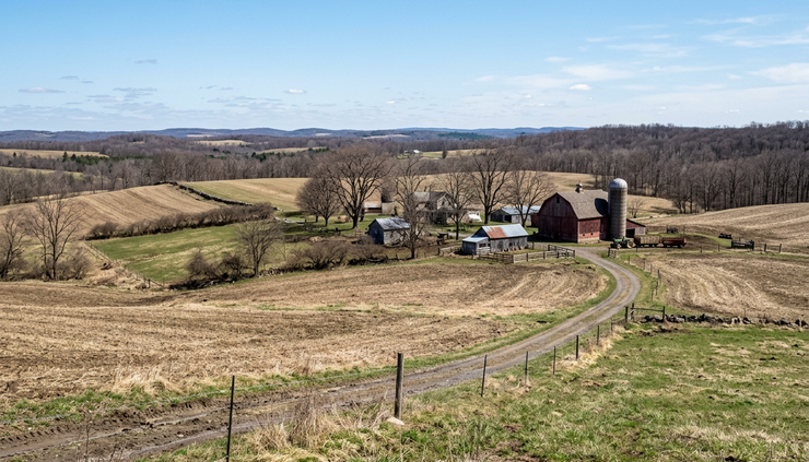Wide-angle view of a sunny farm field under a clear blue sky.