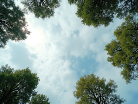 Upcoming Weather Forecast: What to Expect This Week