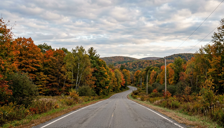 Eye-level view of a quiet country road with increasing clouds over autumn trees
