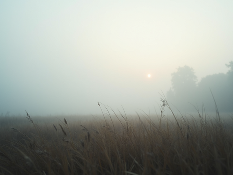 Weather Watch: A Weekend of Patchy Fog, Showers, and Sunny Skies Ahead