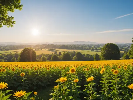 What's in Store for the Weather this Week? Taking a Look at the Forecast