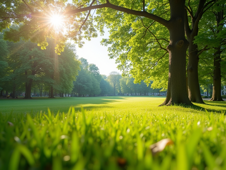 Today's Weather Conditions: Key Metrics and Their Implications