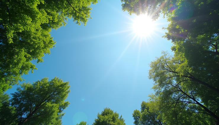 Eye-level view of clear blue sky with bright sun and green trees