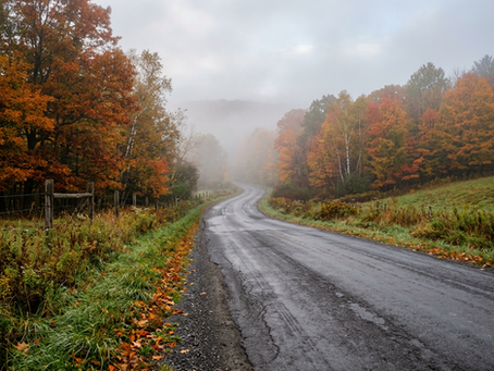 Foggy Start, Showers Midweek, and a Sunny Weekend Ahead