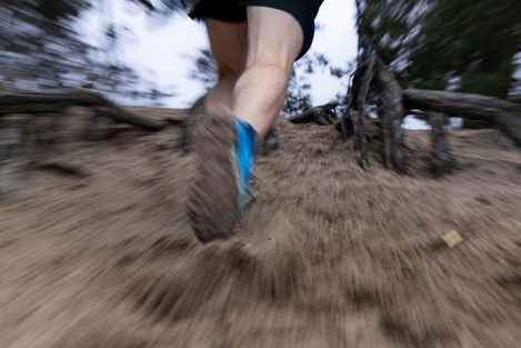 Hoka-7.jpg