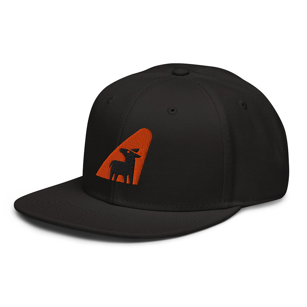 Thumbnail: Burro'd Snapback 'Ass Hat'