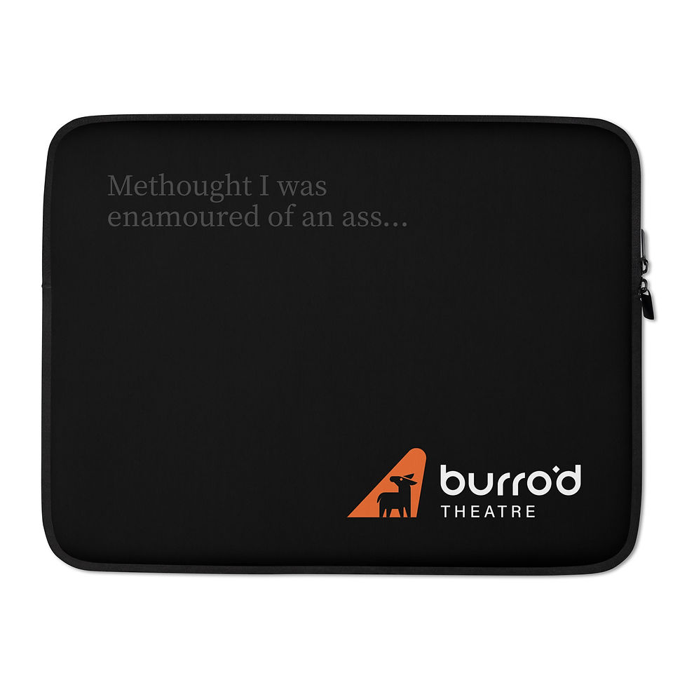 Thumbnail: Burro'd Theatre Laptop Sleeve