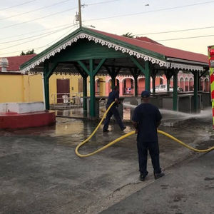 Frederiksted Vegetable Market: A Community Space in Need of Revival as Crime Concerns Persist