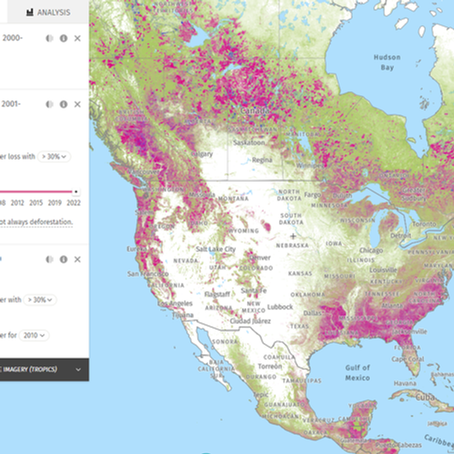 Media: Amazing Global Map of Forest Loss and Land Use