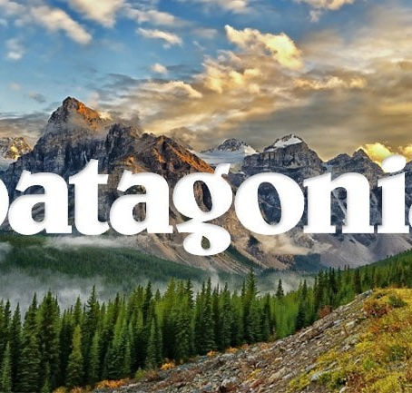 Article: The Economic and Ecological Success of Patagonia