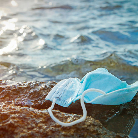 Article: "The environmental toll of disposable masks"
