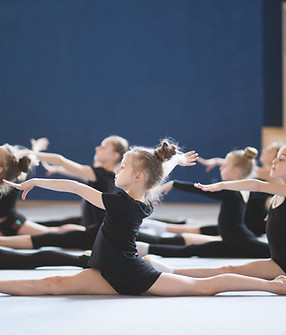 Ginnastica